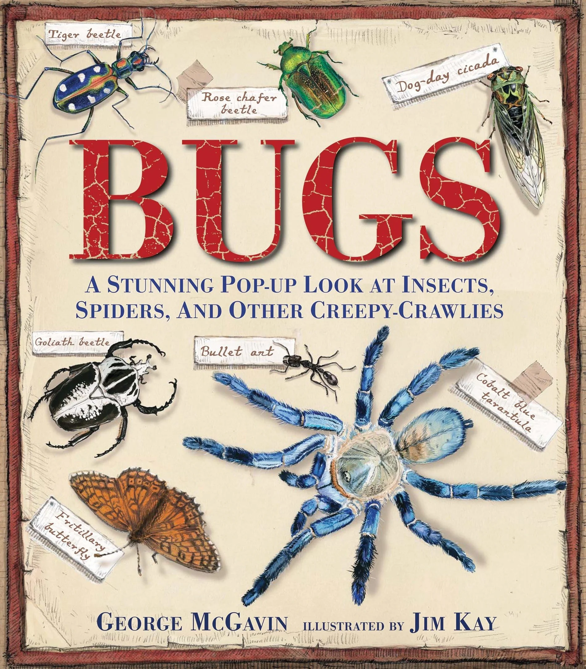 Bugs: A Stunning Pop-up Look at Insects, Spiders, and Other Creepy-Crawlies