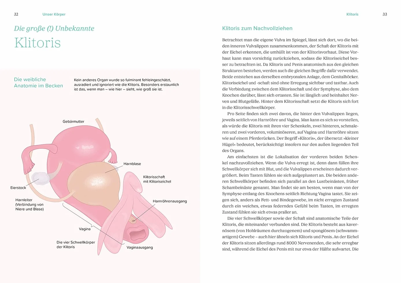 Das große Gynbuch: Selbstbewusst für den eigenen Körper entscheiden. Sex, Zyklus, Wechseljahre aus weiblicher Sicht neu verstehen. Krankheiten erkennen und therapieren | Aktualisierte Neuausgabe