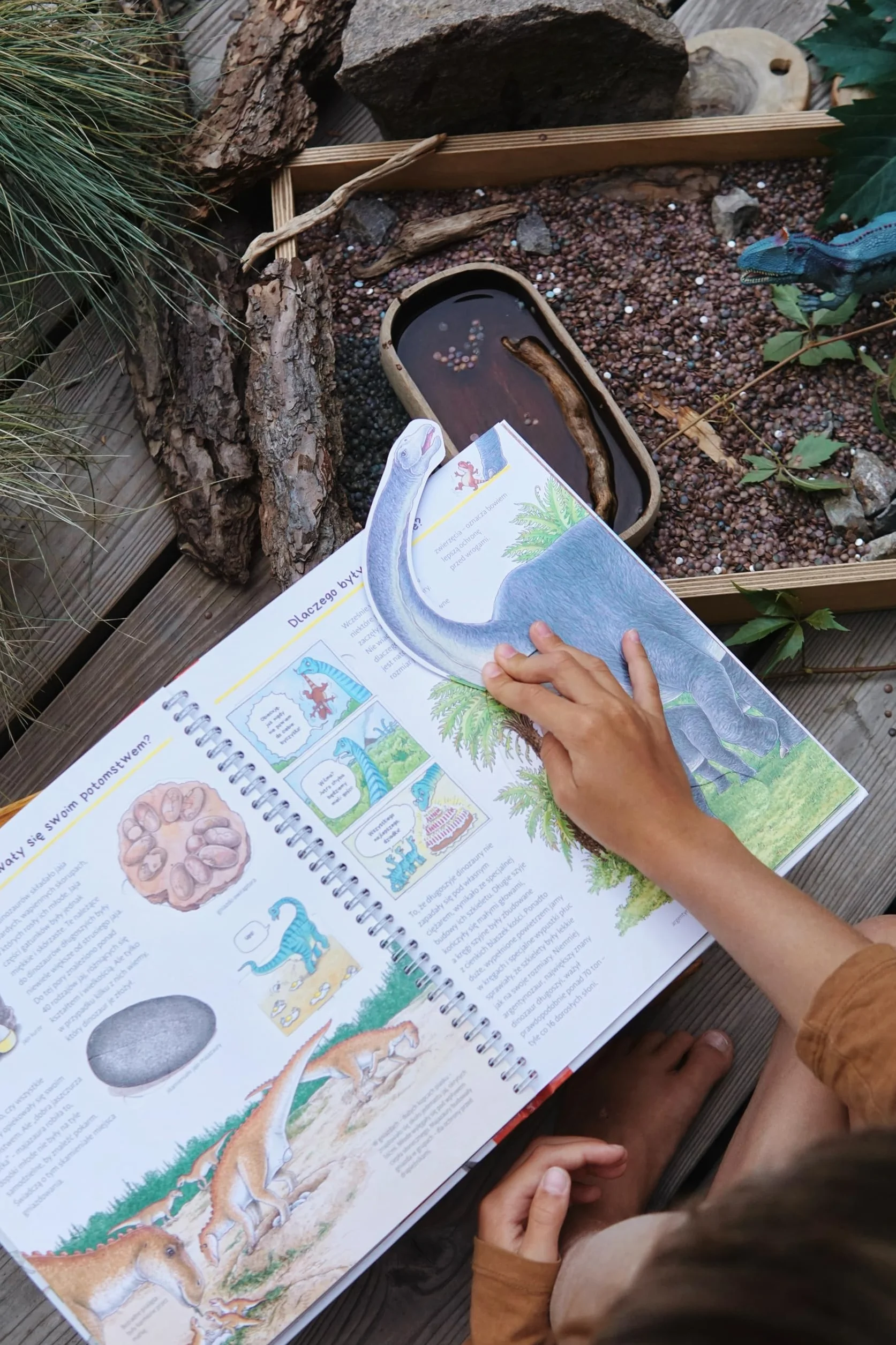 Odkrywamy dinozaury Książka edukacyjna z okienkami Dla dzieci 3-8 lat Popularnonaukowa seria Dlaczego? Kiedy? Jak?