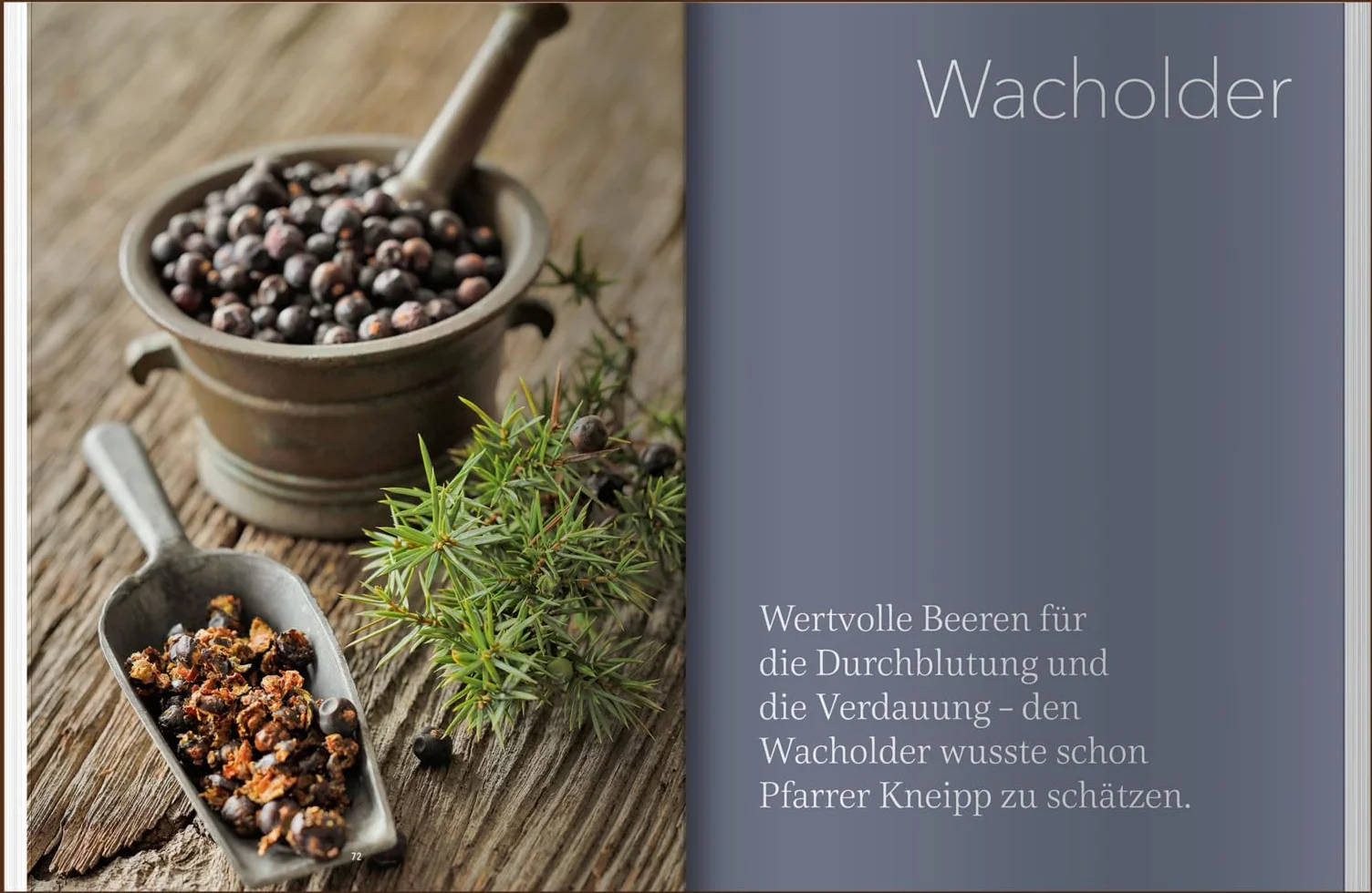 Landlust Naturapotheke: Naturrezepte für Gesundheit und Wohlbefinden - Herbst und Winter. Mit den Heilkräften der Natur gestärkt durch die kalte Jahreszeit. Tipps zu Heilpflanzen und ihrer Anwendung.