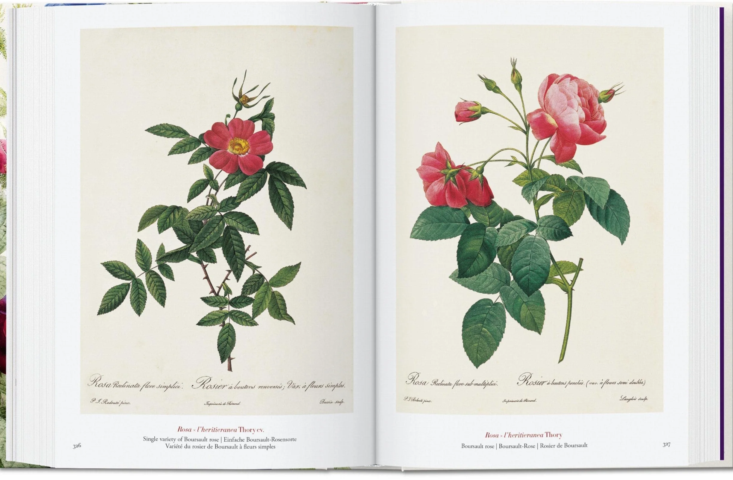 Le livre des fleurs: The Book of Flowers. 45th Ed.