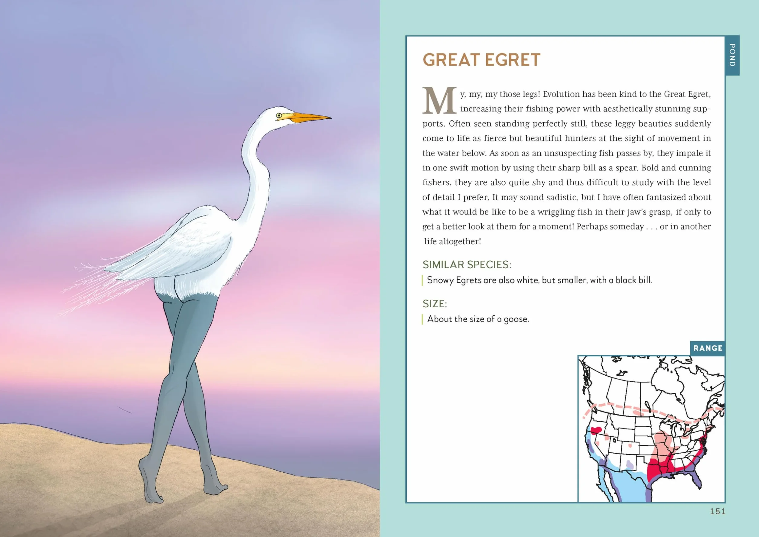 Extremely Accurate Birds: An Anatomically Precise Field Guide to Common Backyard Birds of North America