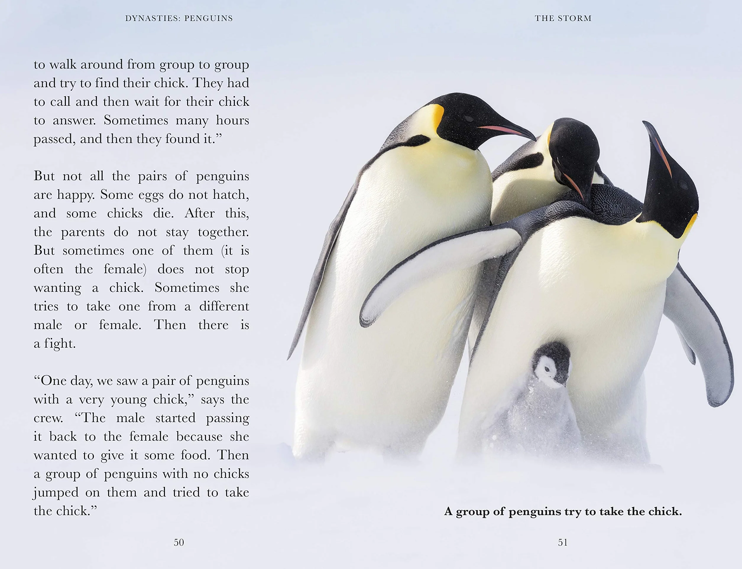 Penguin Readers Level 2 Dynasties Penguins: Abridged Edition