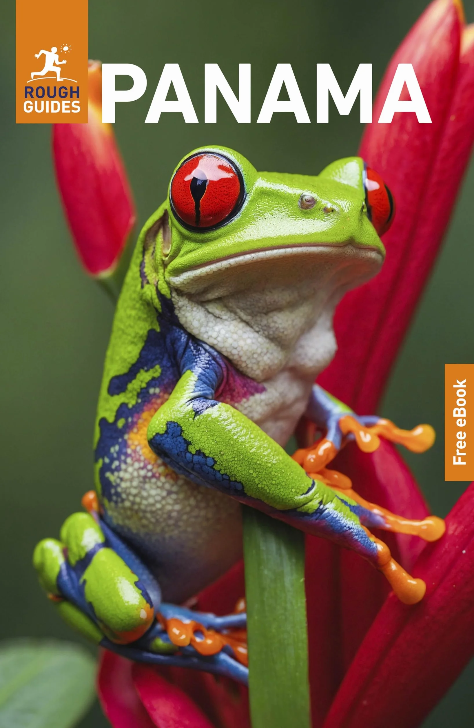 Rough Guides Panama: Travel Guide with eBook
