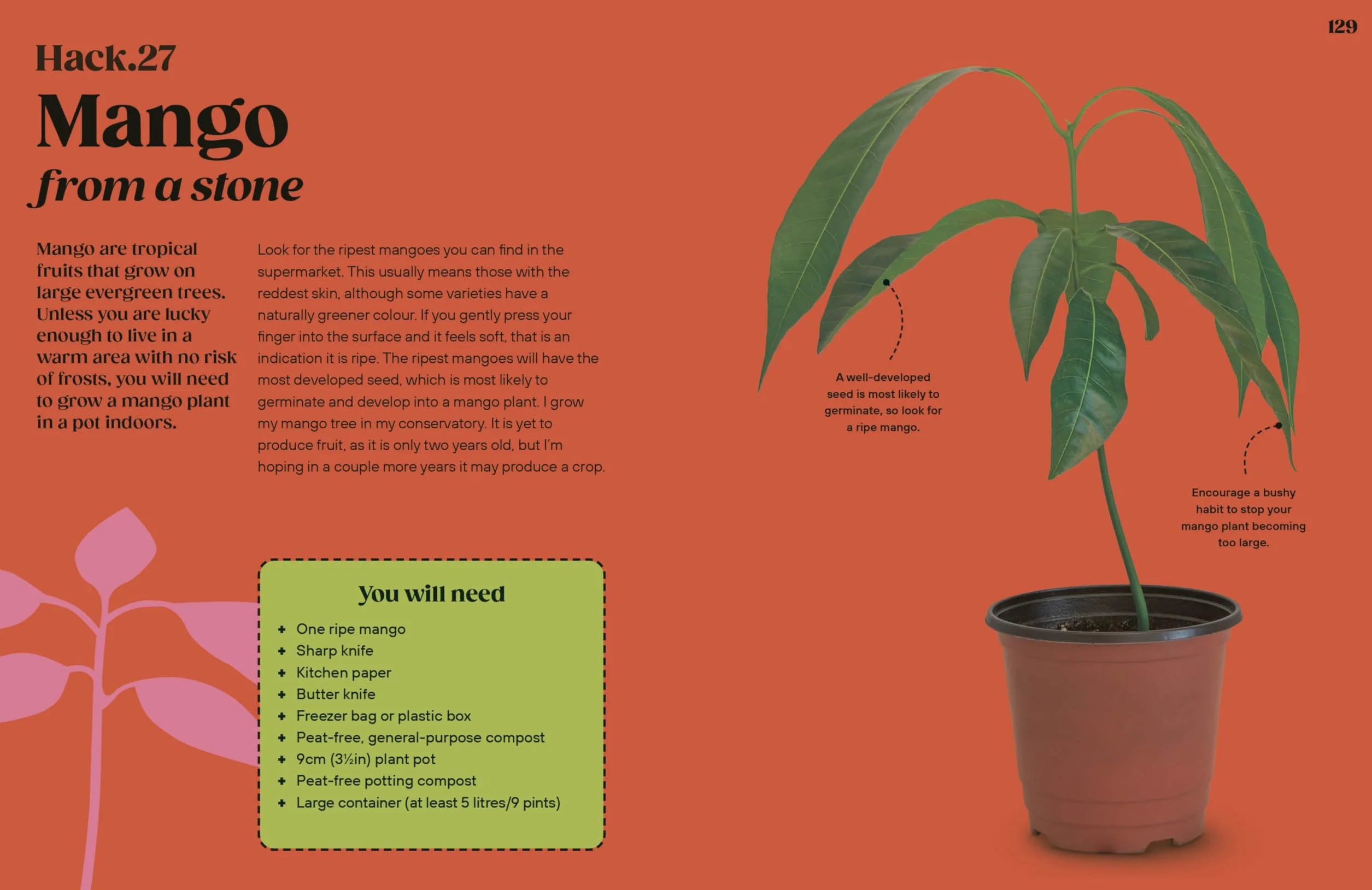 Grow Your Groceries: 40 Hacks for Growing Plants from Your Weekly Shop: A SUNDAY TIMES BESTSELLER