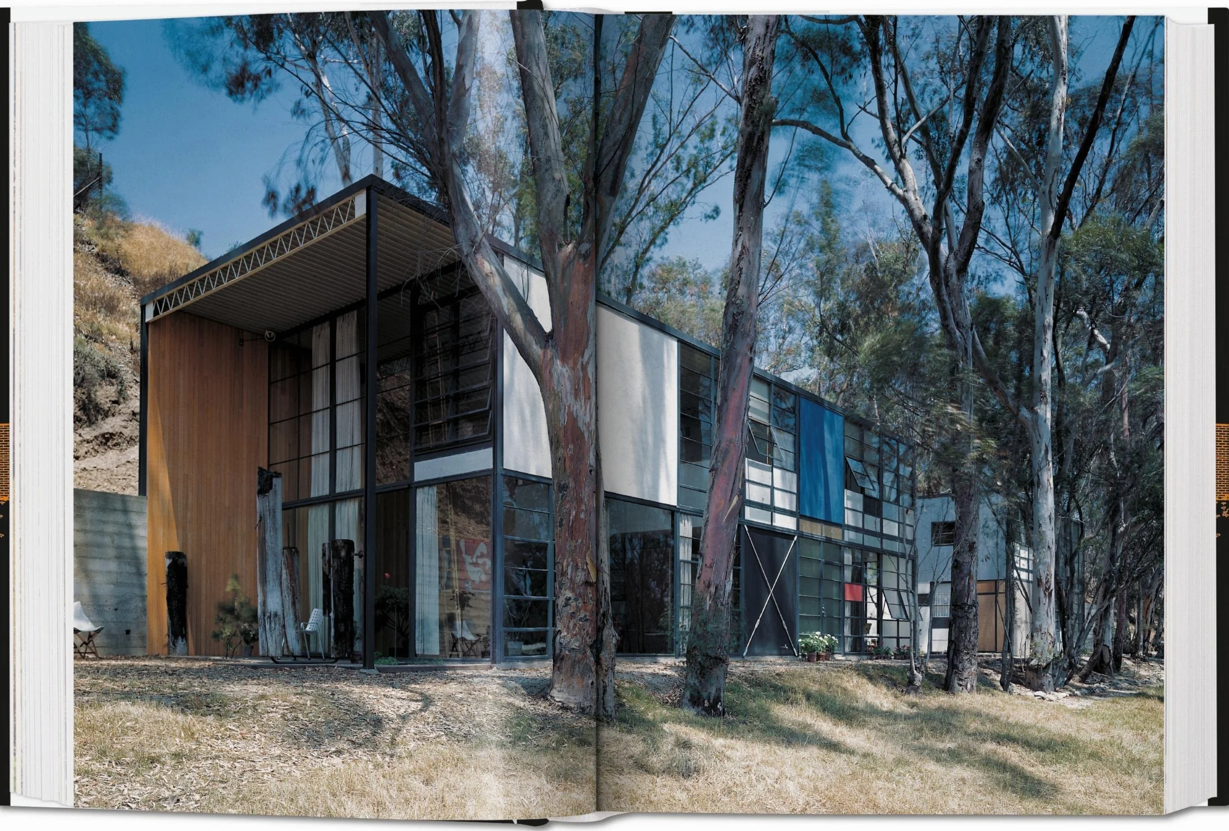 Case Study Houses: The Complete CSH Program 1945-1966: The Complete CSH Program 1945-1966. 45th Ed.