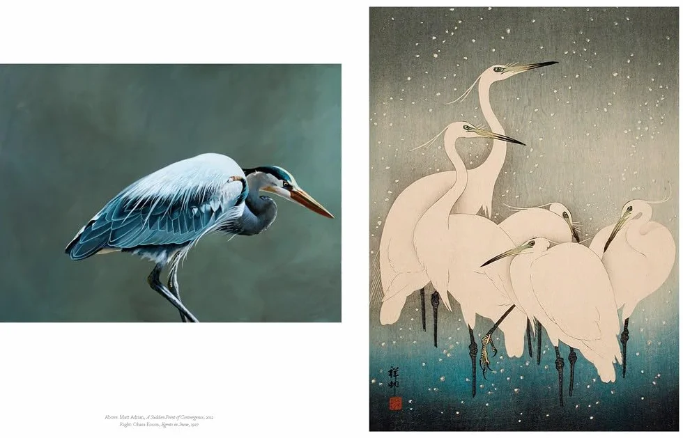 The Book of the Bird: Birds in Art