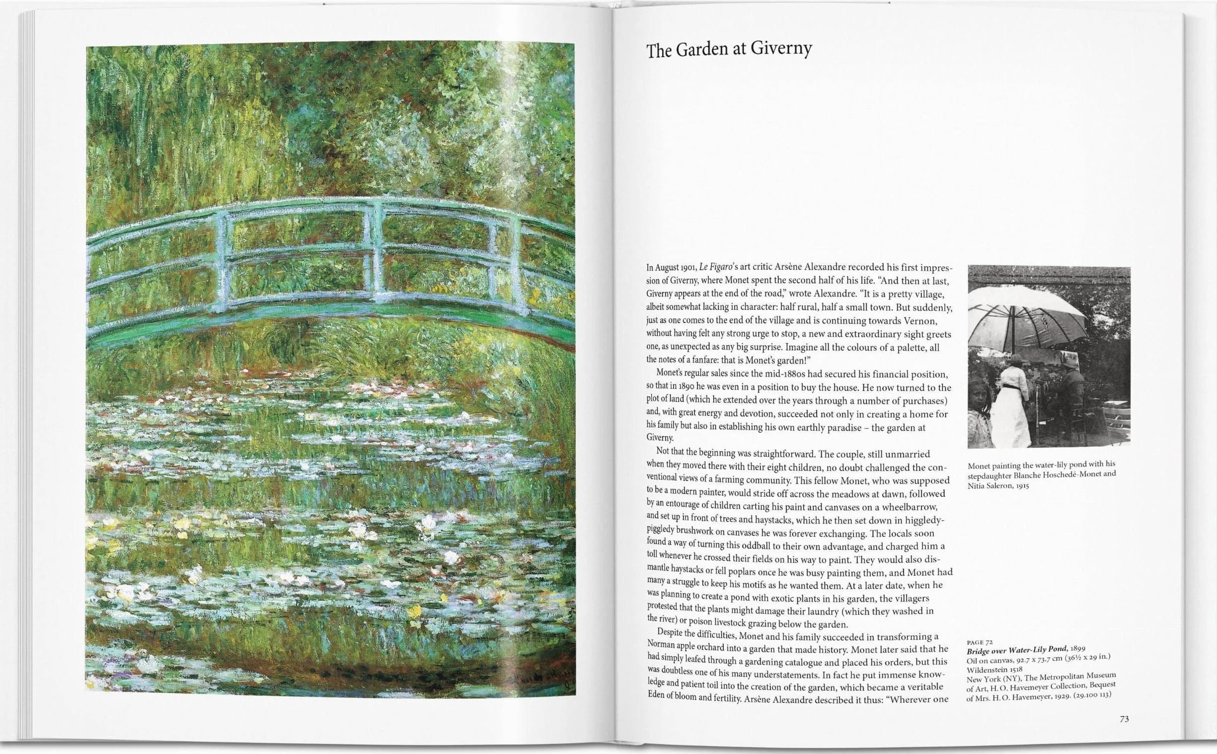 Monet: Capturing the Ever-Changing Face of Reality