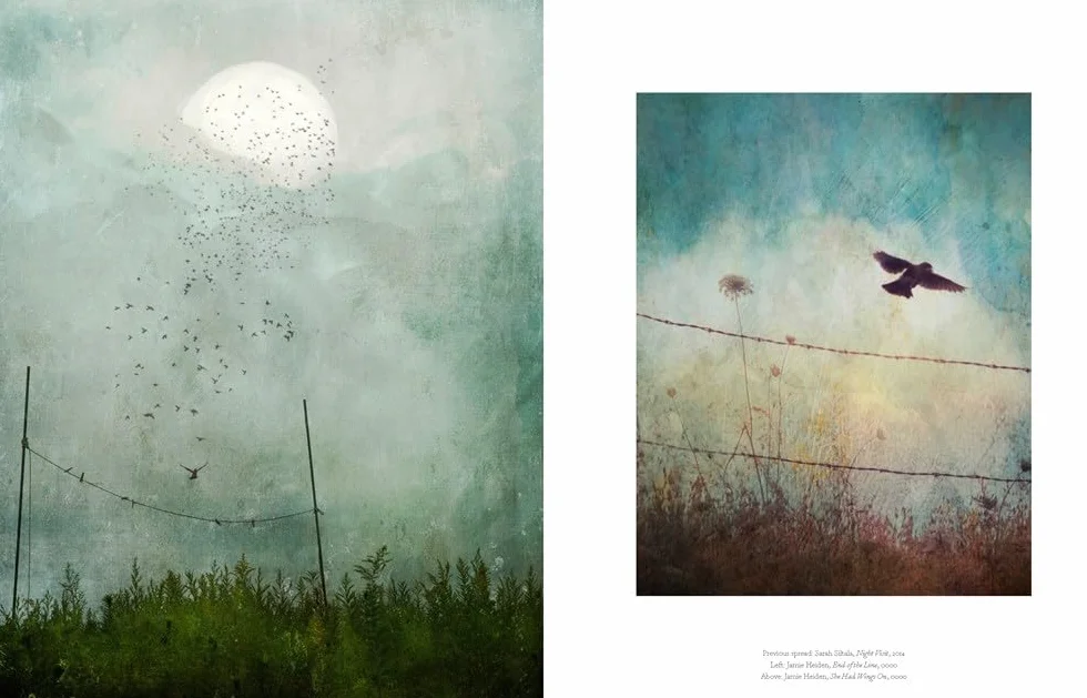 The Book of the Bird: Birds in Art
