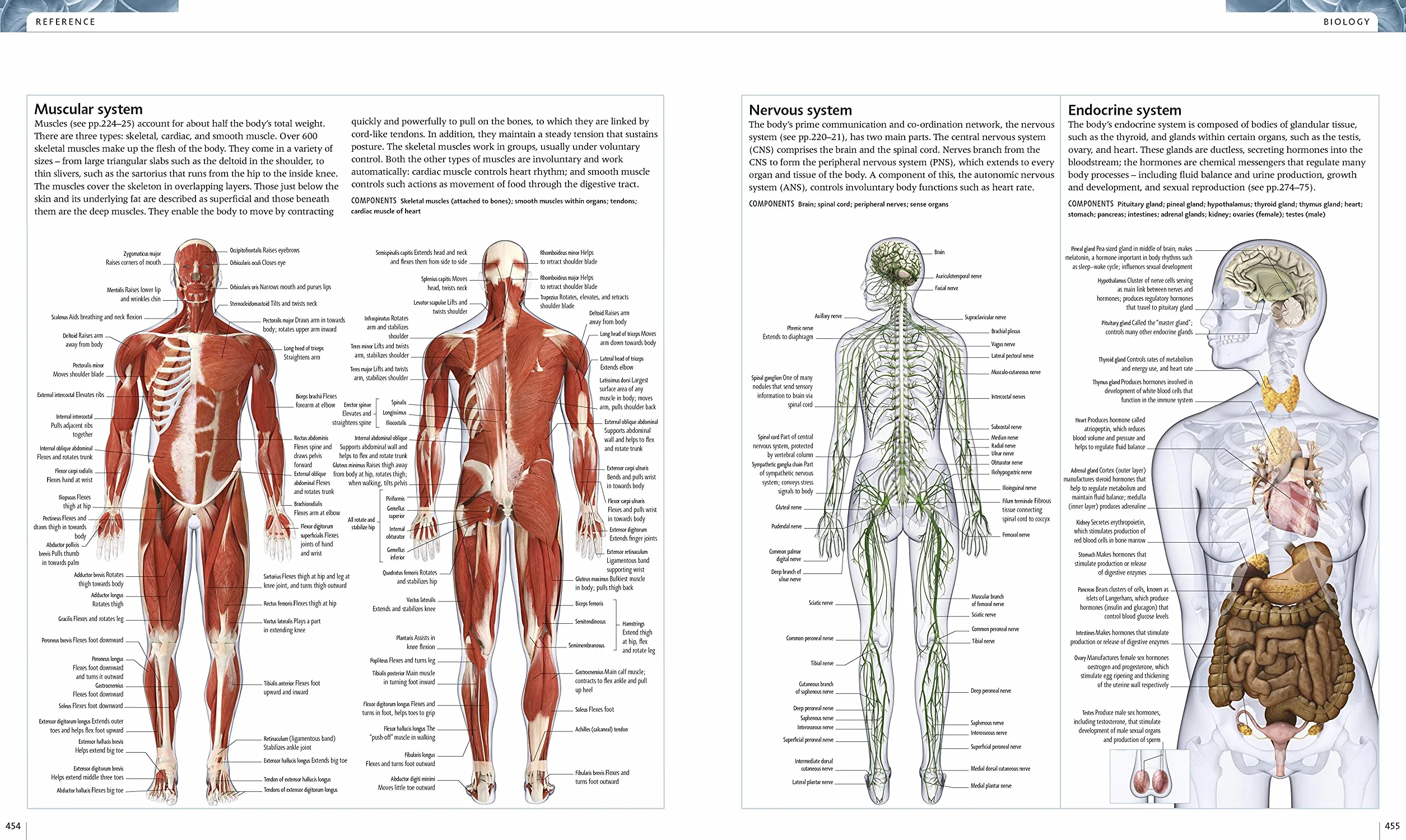 Science: The Definitive Visual Guide
