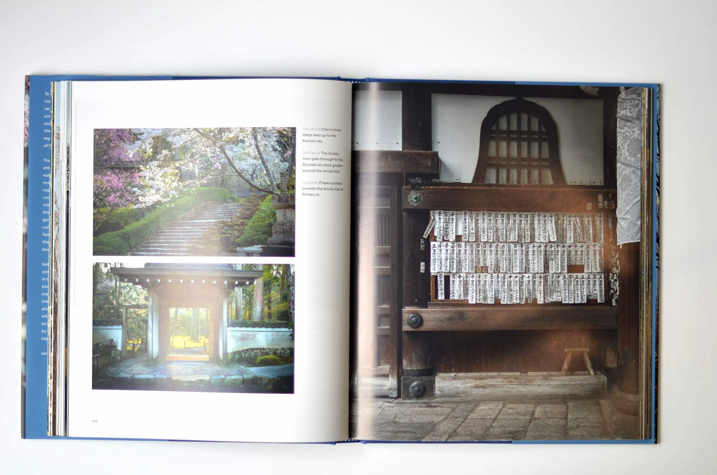 Japanese Gardens: A Journey