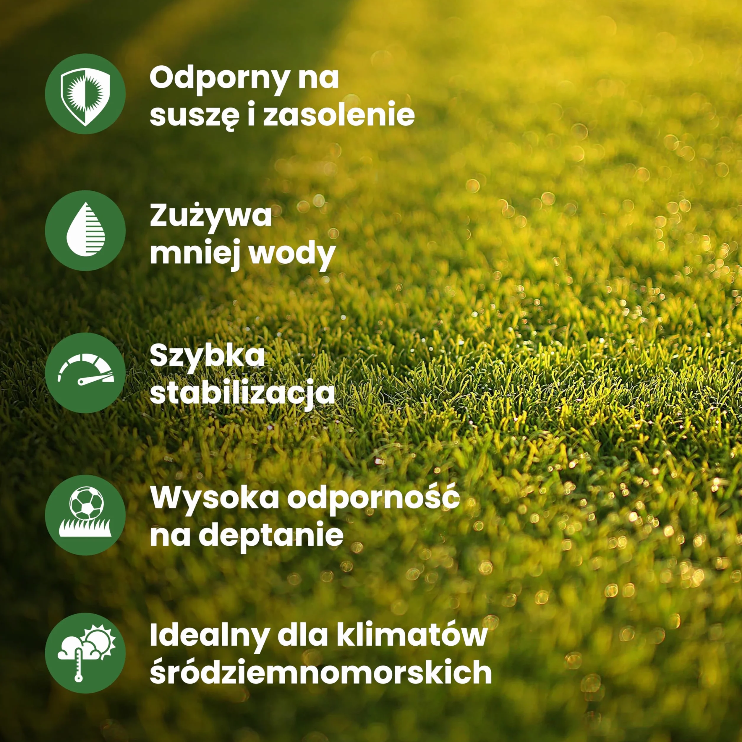 LERAVA® EXPRESS nasiona trawy (70m²) - szybki wzrost i odporność na deptanie - trawa regeneracyjna do ogrodów słonecznych i półcienistych - odporna na suszę - jakość Made in Italy - 1,8 kg