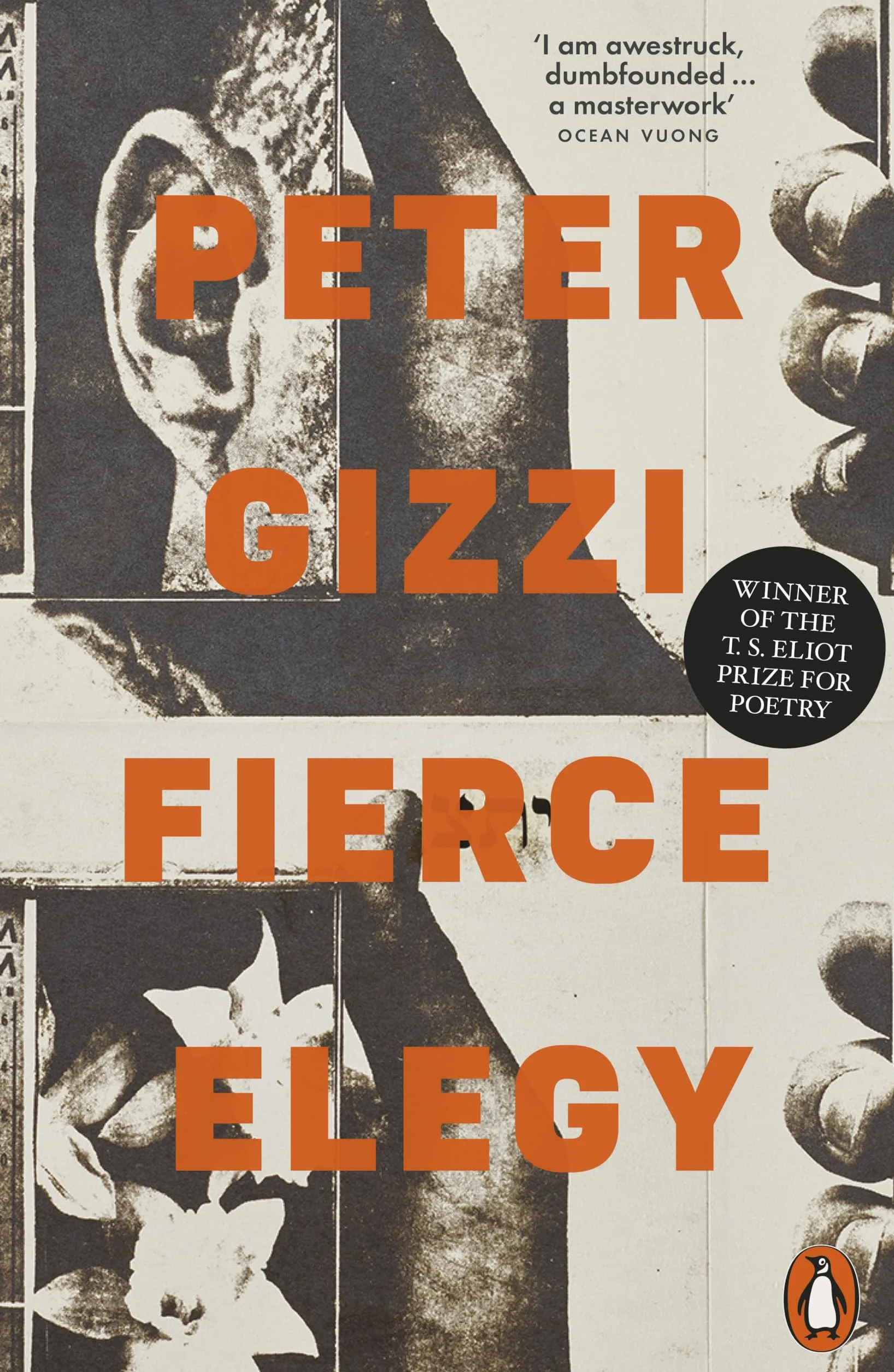 Fierce Elegy: Peter Gizzi