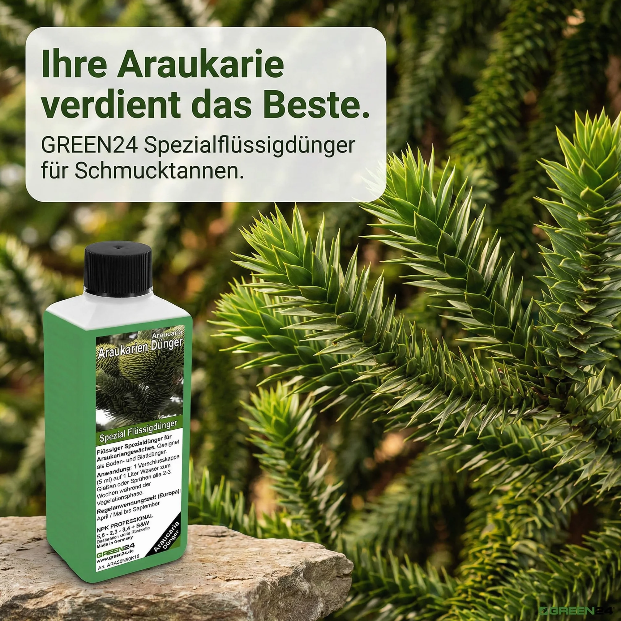 GREEN24 nawóz do araukarii HIGH-TECH, nawóz roślinny dla Araucaria Andentanne Araukarie Schmucktanne