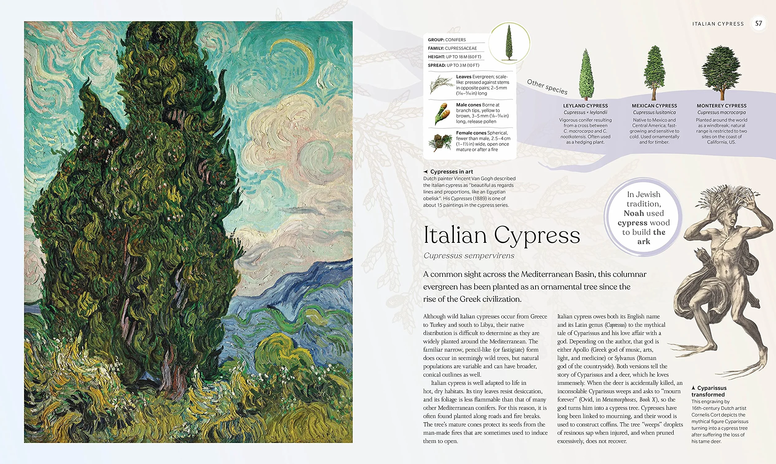 The Tree Book: The Stories, Science, and History of Trees