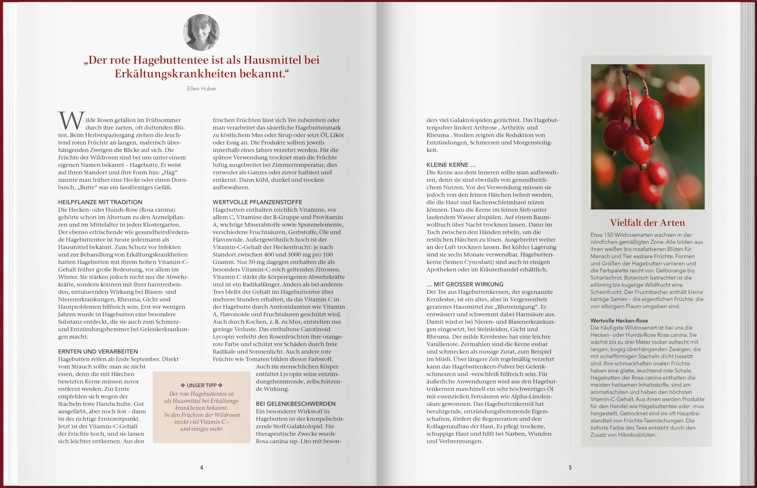 Landlust Naturapotheke: Naturrezepte für Gesundheit und Wohlbefinden - Herbst und Winter. Mit den Heilkräften der Natur gestärkt durch die kalte Jahreszeit. Tipps zu Heilpflanzen und ihrer Anwendung.