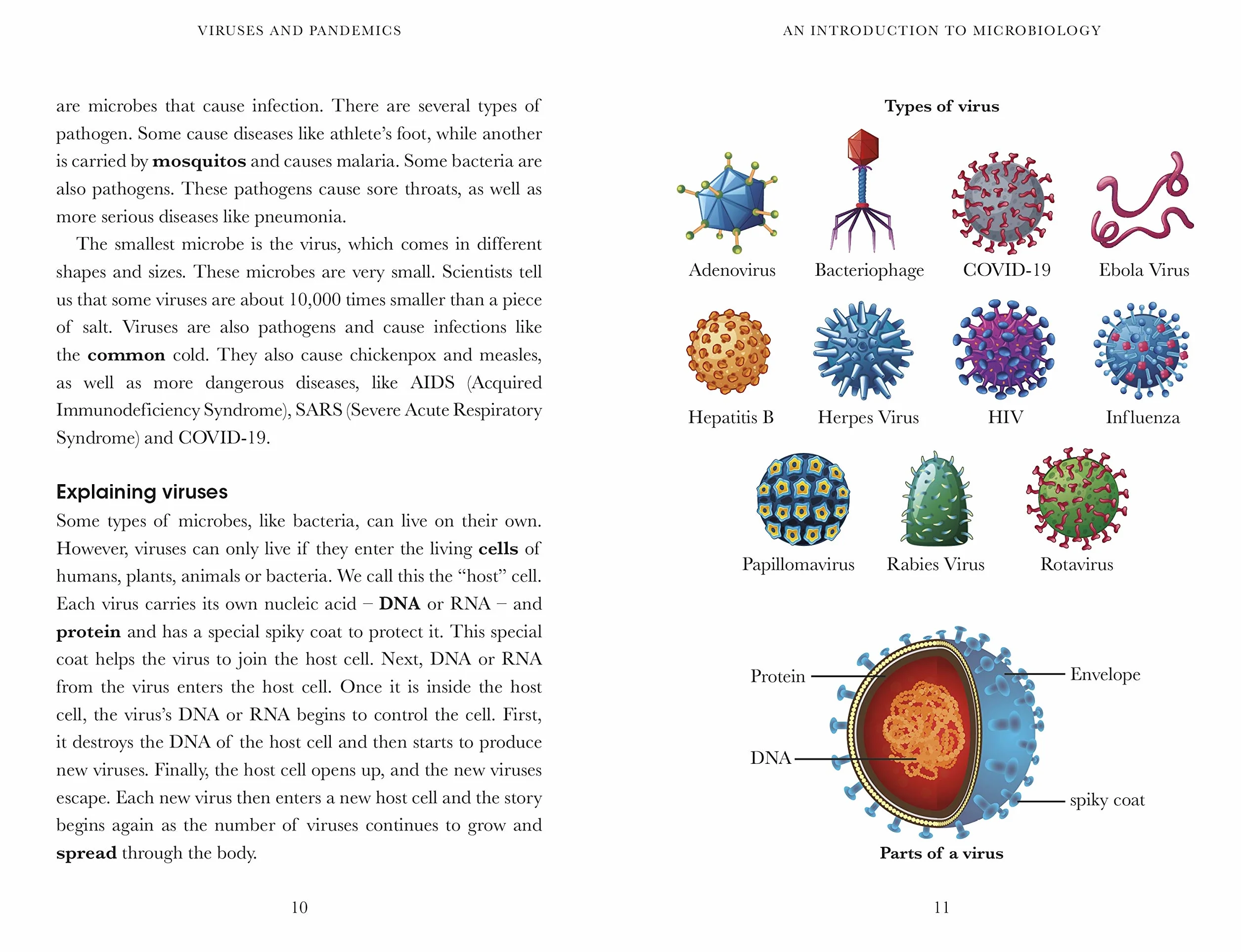 Penguin Readers Level 6 Viruses and Pandemics: Abridged Edition