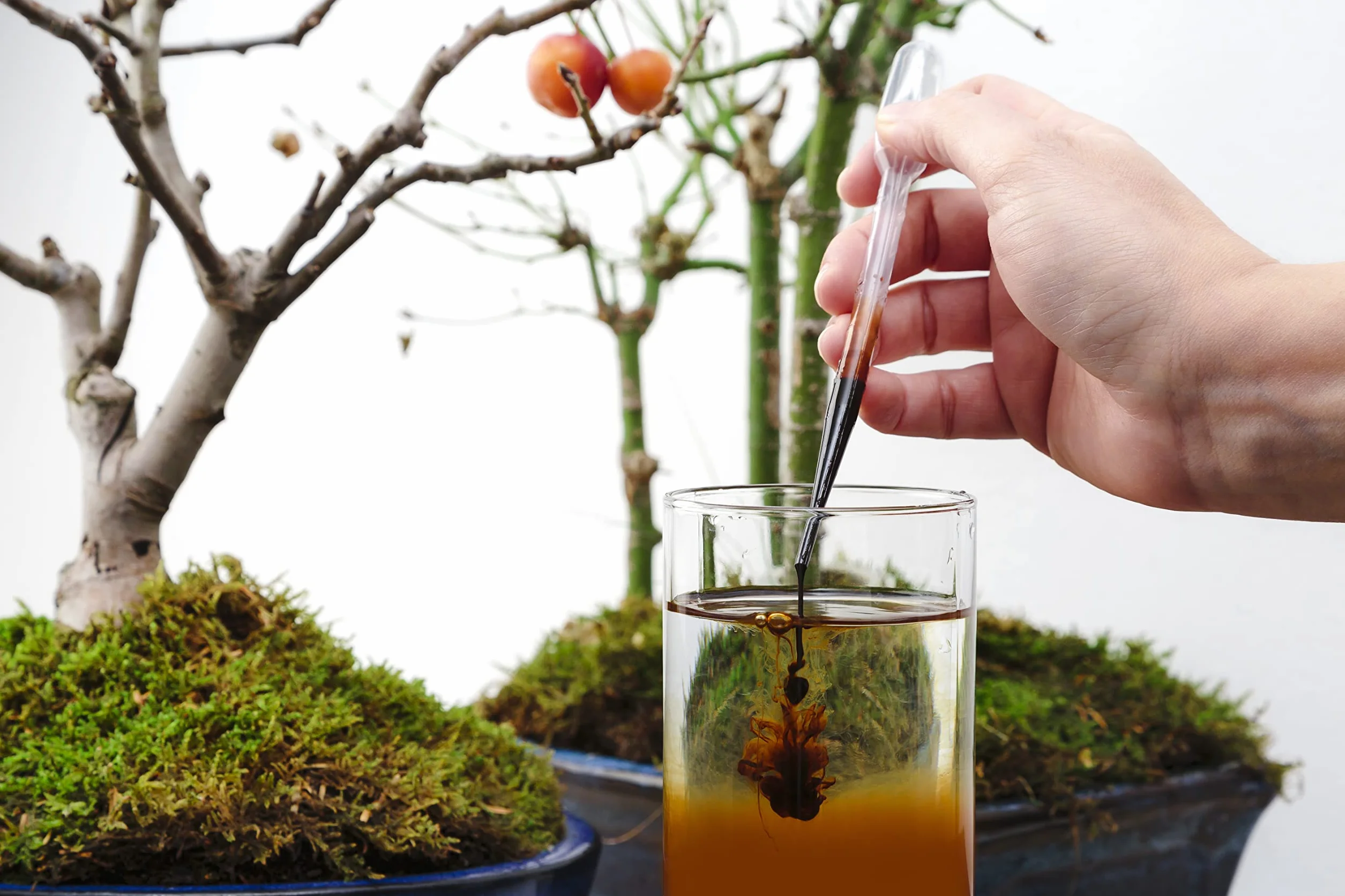 R&R SHOP Japoński tradycyjny nawóz Bonsai - Nawóz w płynie do Bonsai z zakraplaczem 3ml - 250ml