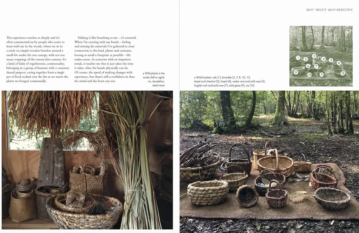 Wild Basketry: Making baskets and natural cordage from foraged plants