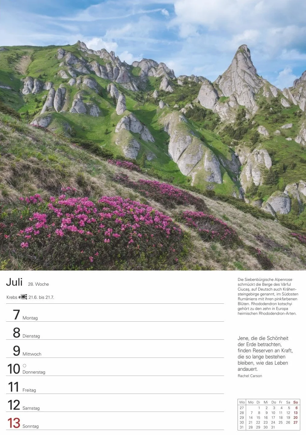 Wunder der Natur Wochenplaner 2025 - 53 Blatt mit Zitaten und Wochenchronik: Wunderschöne Naturfotos in einem praktischen Terminkalender zum Aufhängen. Übersichtlicher Wochenplaner für die Wand