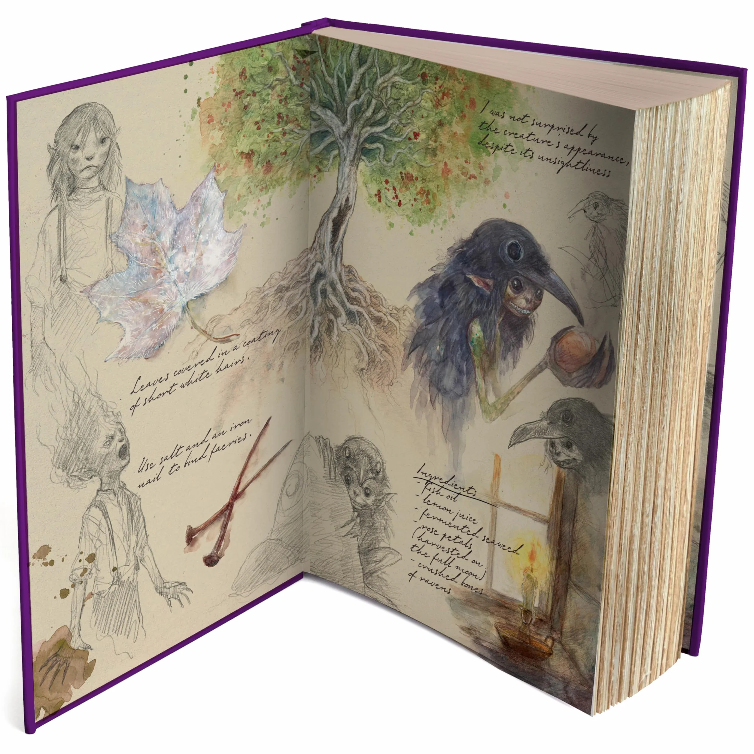 Emily Wilde's Encyclopaedia of Faeries (Deluxe Edition): 1