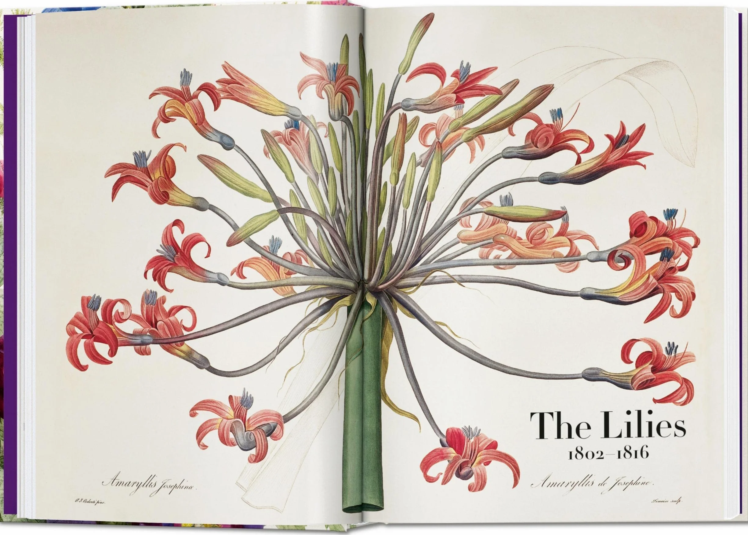 Le livre des fleurs: The Book of Flowers. 45th Ed.