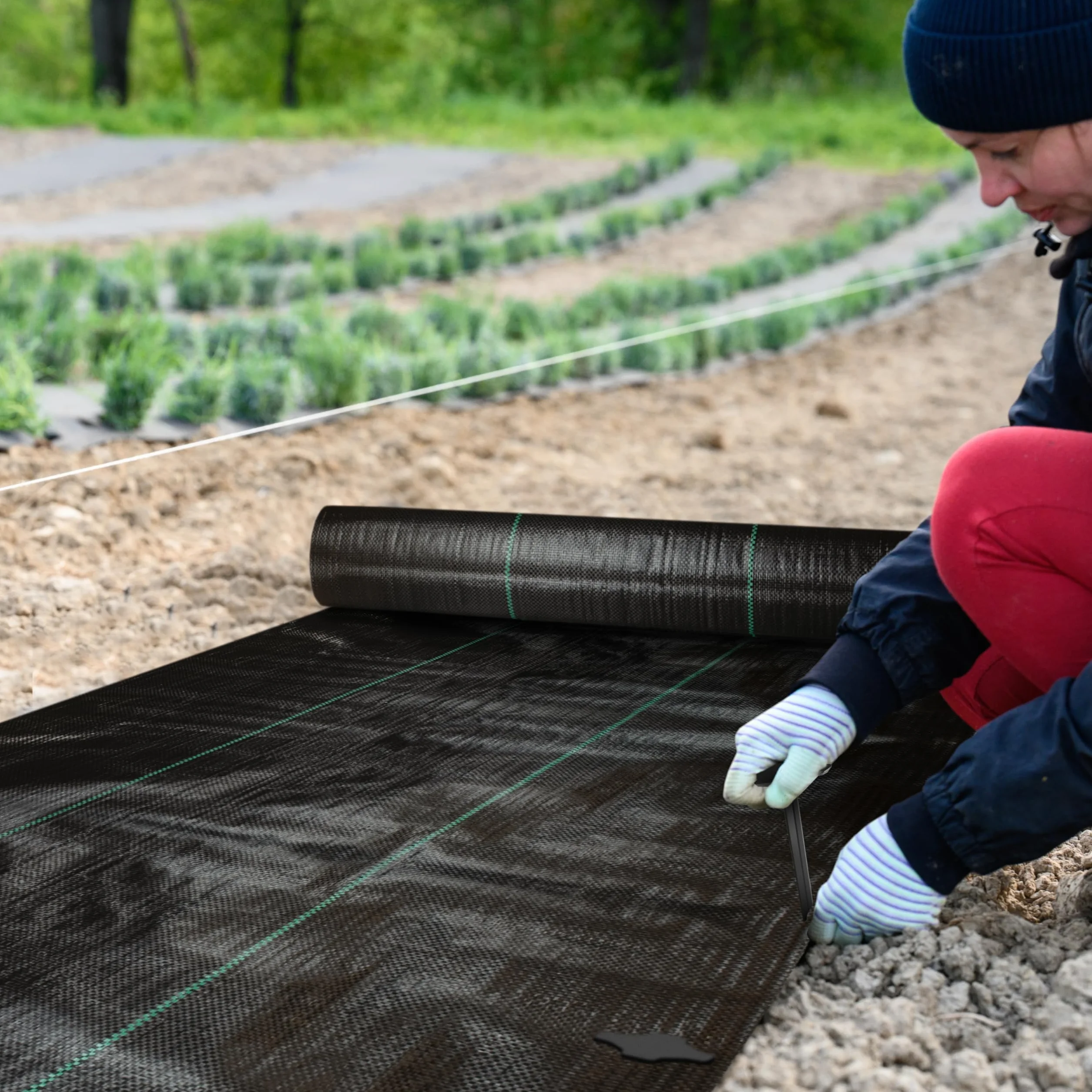 Sillar Folia przeciw chwastom, folia ogrodowa, przepuszczająca wodę, odporna na rozerwanie, z wysoką stabilnością UV (90 g/m², 2x10m)