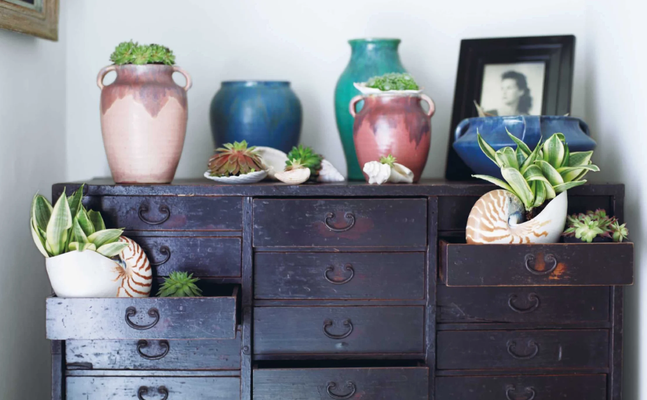 Inspire: The Art of Living with Nature: 50 Beautiful Projects to Bring the Outside in