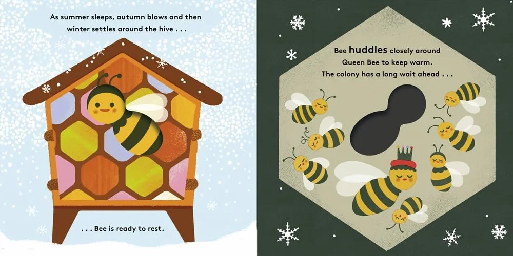 Little Life Cycles: Bee