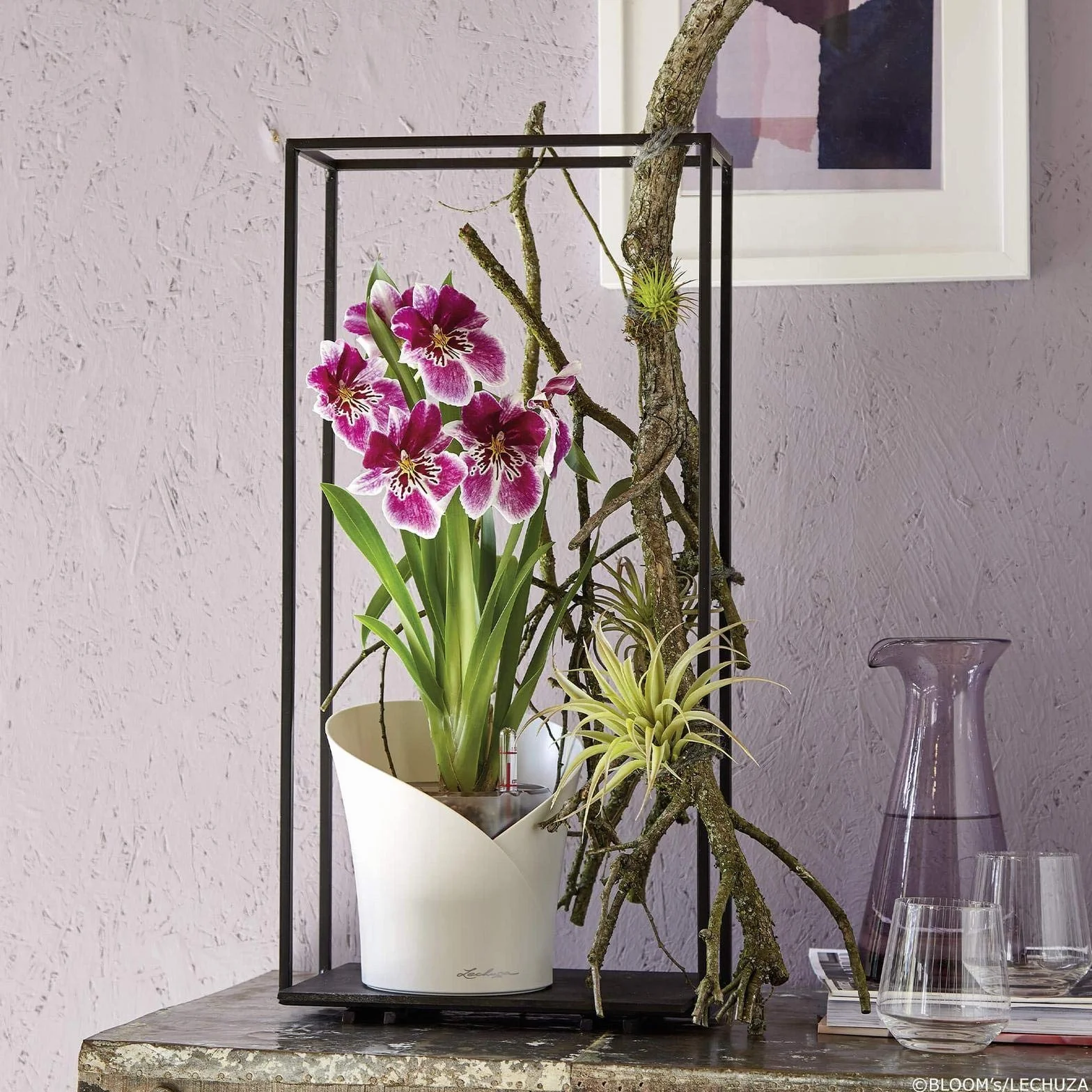 Lechuza Donica, System Nawadniania, Orchidea Biały Mat, 13960