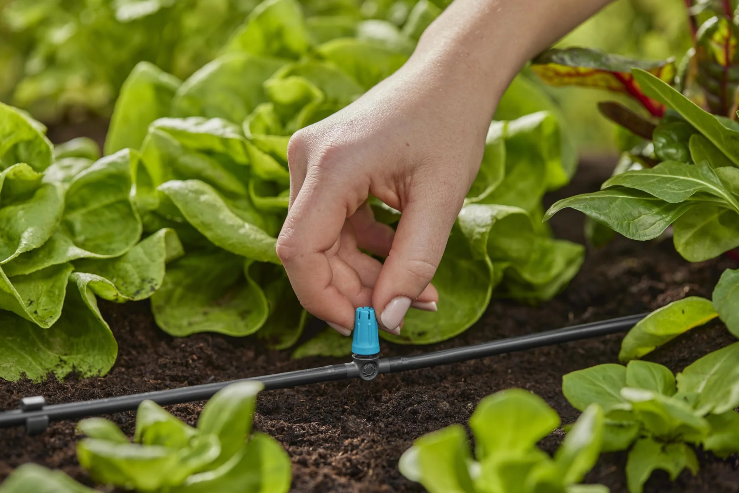 Gardena system Micro-Drip dysza małopowierzchniowa: Dysza rozpylająca do autom. systemu nawadniania do małych powierzchni do średnicy 40 cm, proste połączenie z rurą rozdziel. 4,6 mm (13316-20)