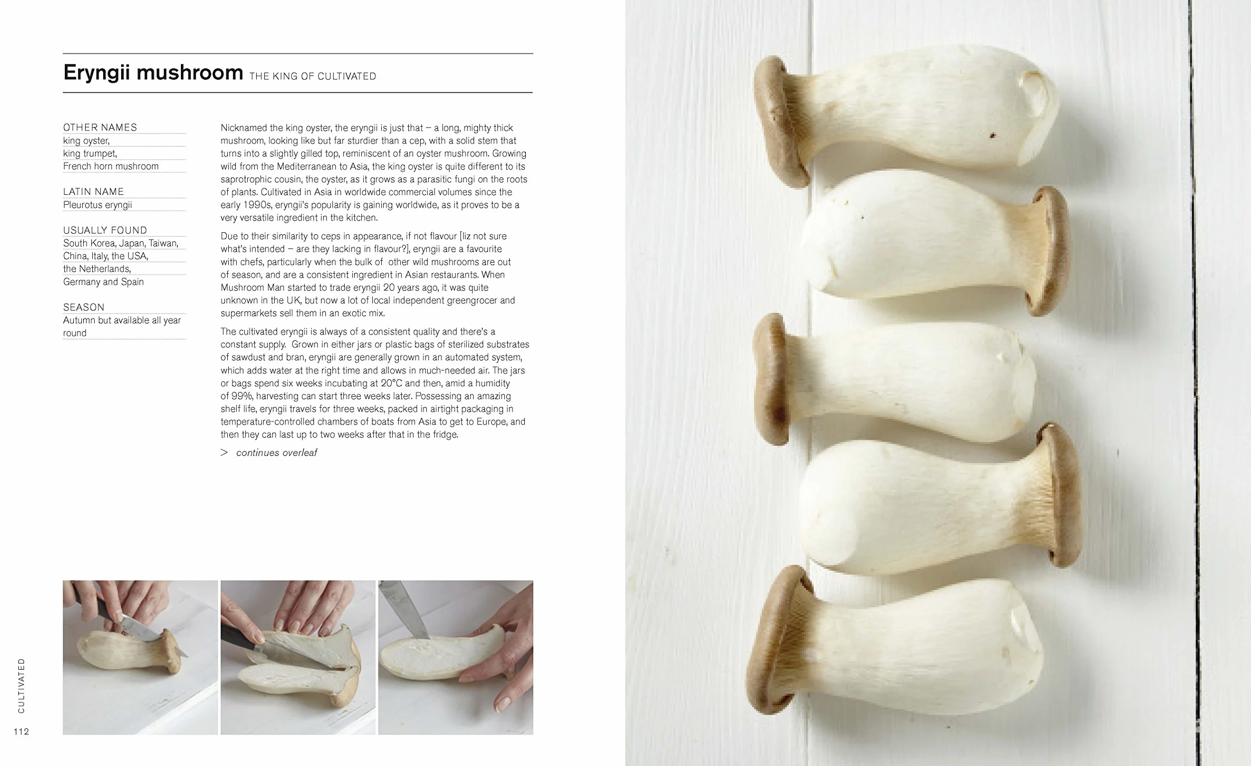 The Mushroom Cookbook: A Guide to Edible Wild and Cultivated Mushrooms - And Delicious Seasonal Recipes to Cook with Them