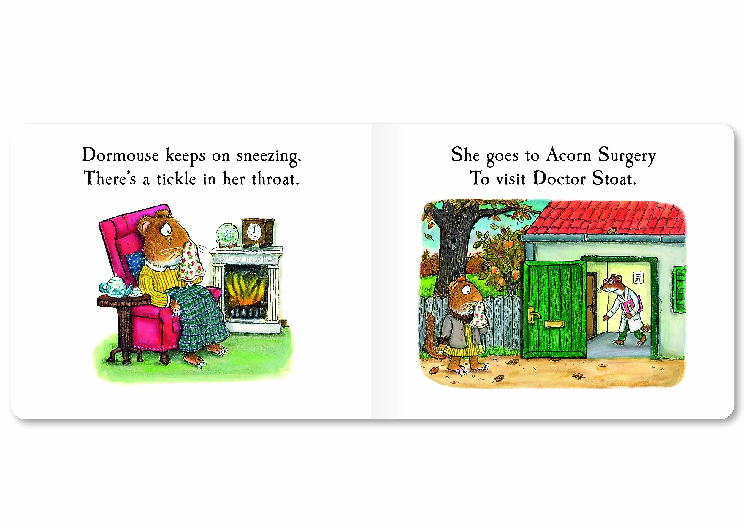 Dormouse Has a Cold: A Lift-the-flap Story (9)
