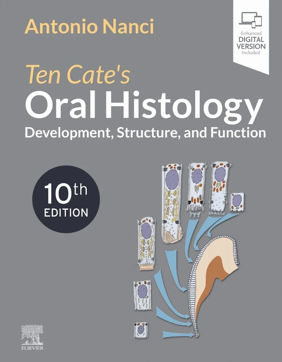 Ten Cate's Oral Histology: Development, Structure, and Function