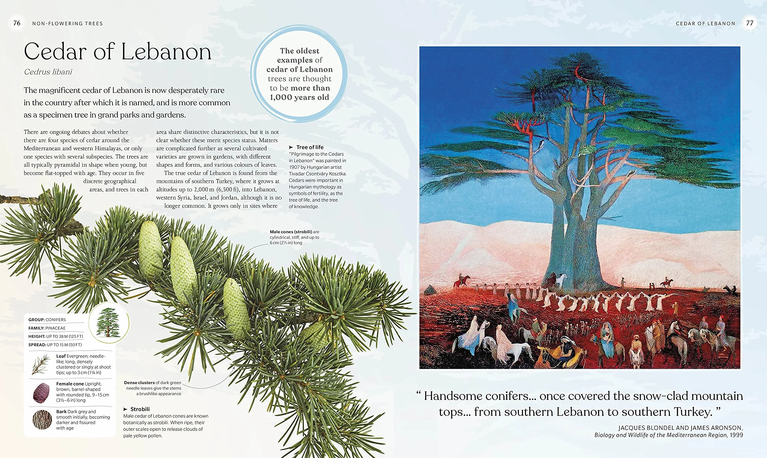 The Tree Book: The Stories, Science, and History of Trees