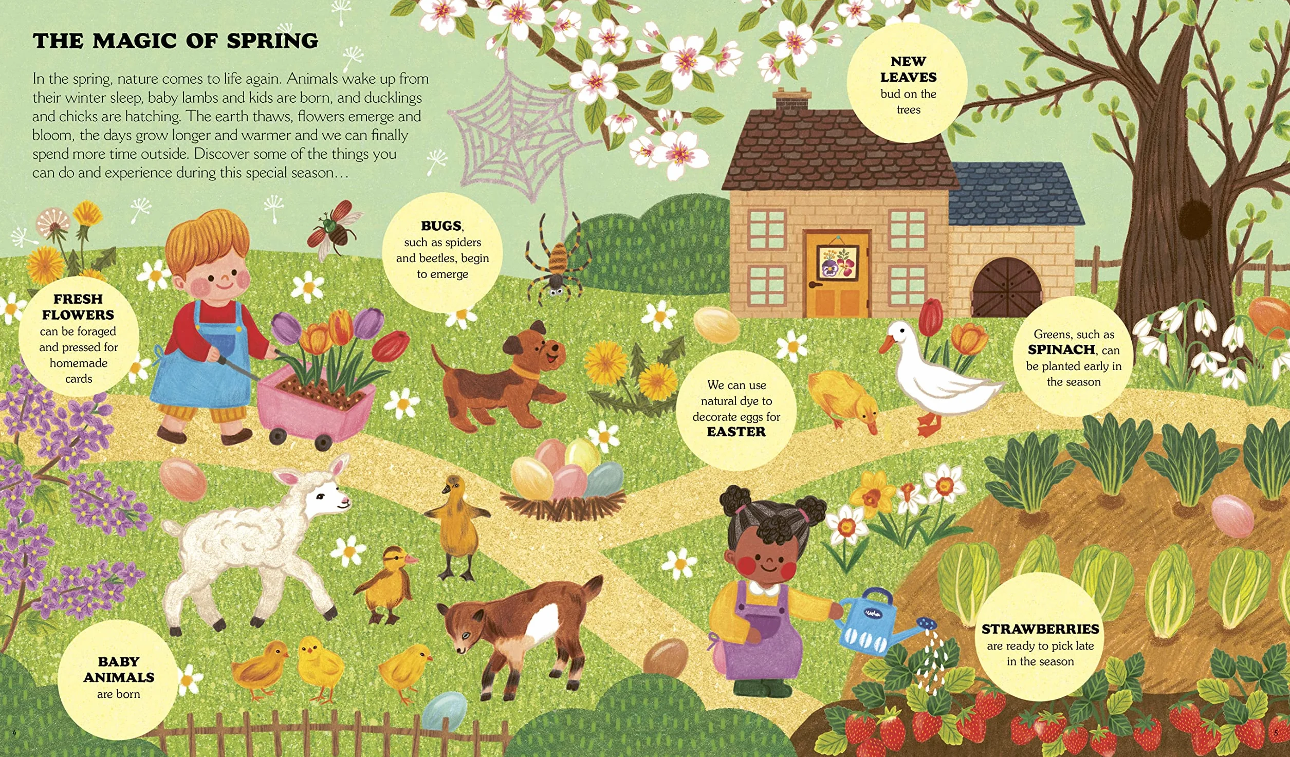 Little Country Cottage: A Spring Treasury of Recipes, Crafts and Wisdom