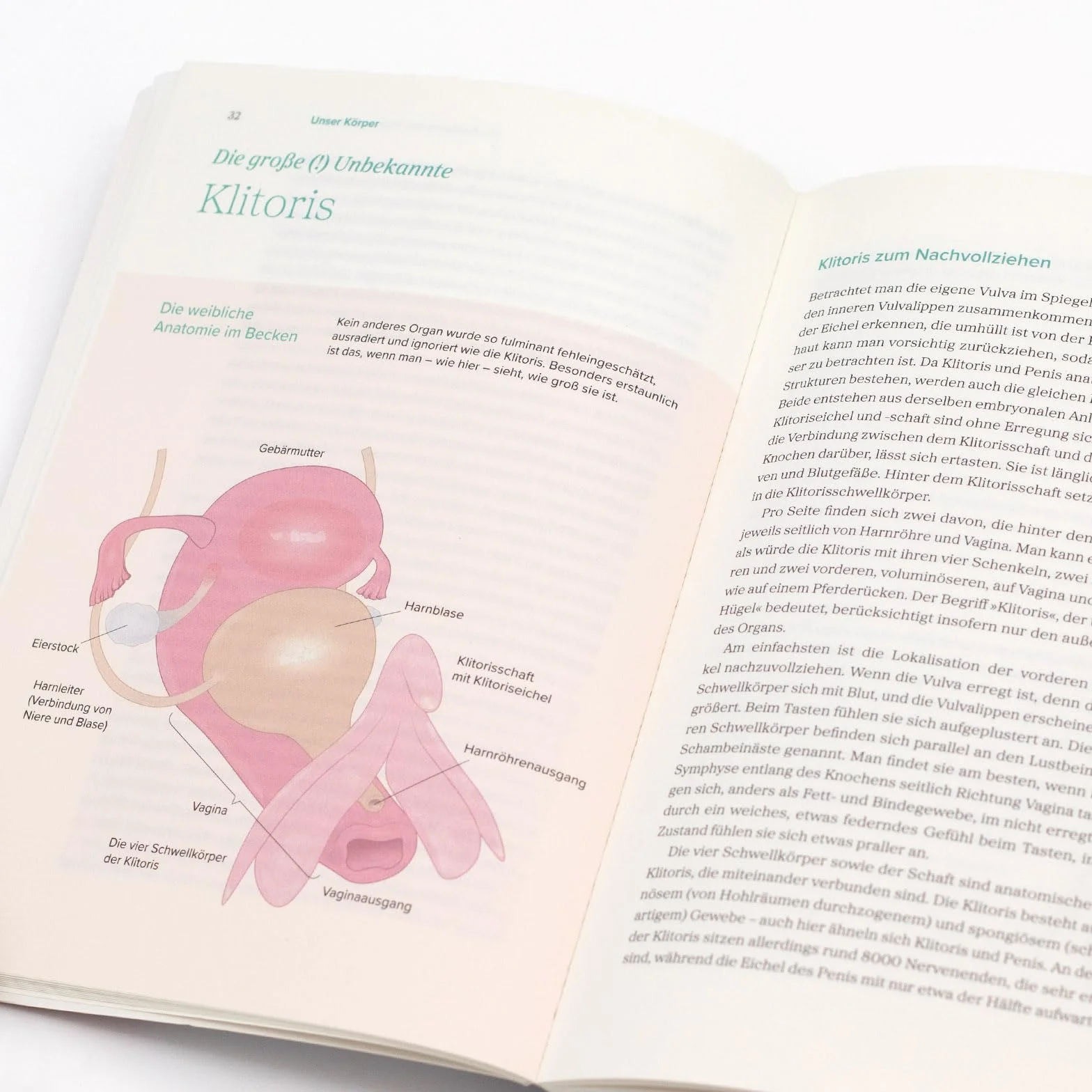 Das große Gynbuch: Selbstbewusst für den eigenen Körper entscheiden. Sex, Zyklus, Wechseljahre aus weiblicher Sicht neu verstehen. Krankheiten erkennen und therapieren | Aktualisierte Neuausgabe