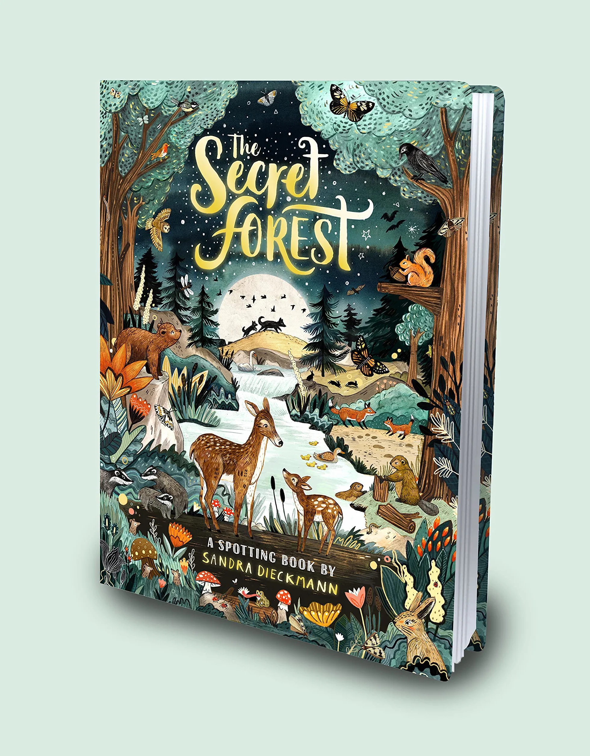 The Secret Forest: 1