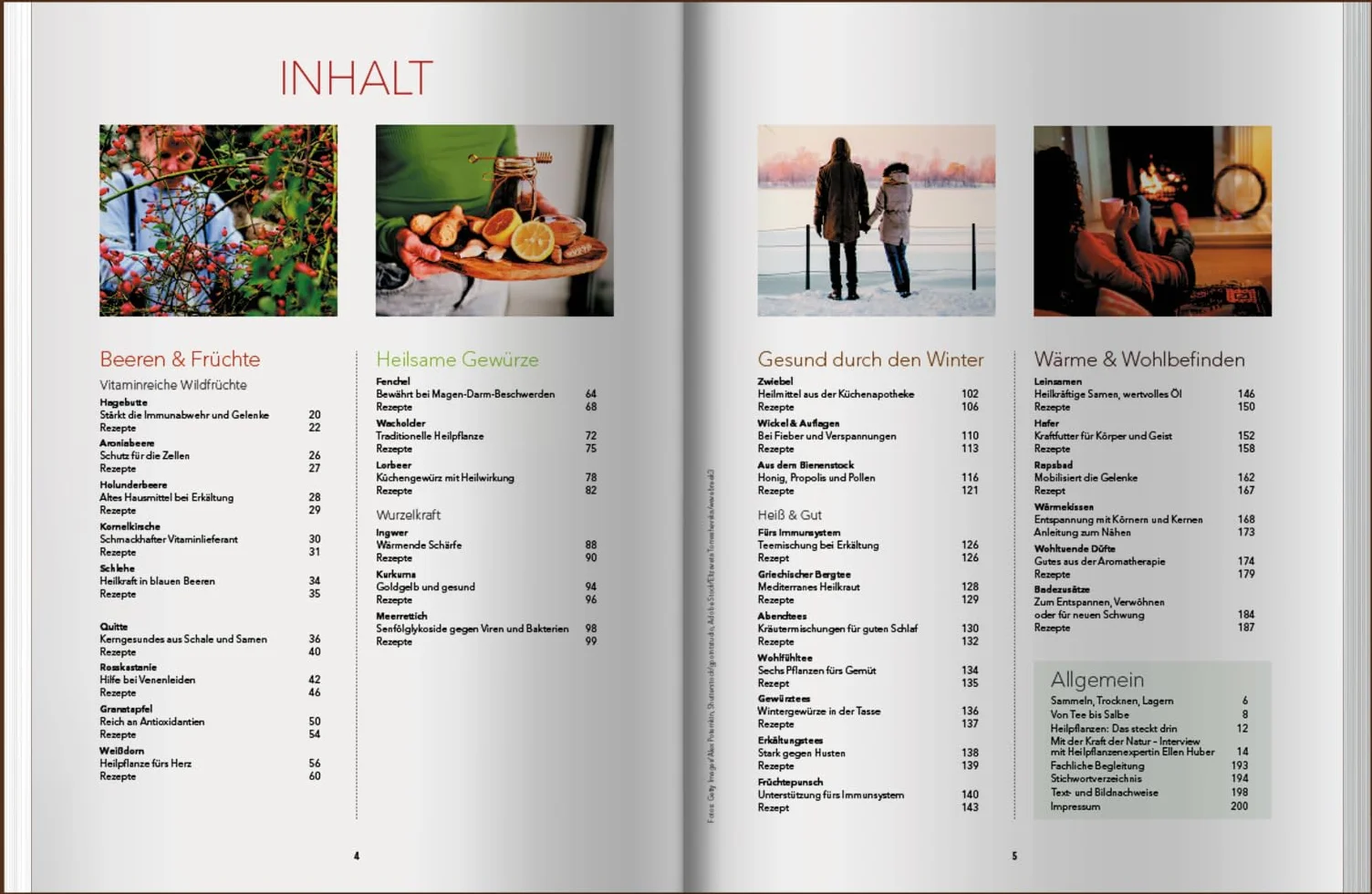 Landlust Naturapotheke: Naturrezepte für Gesundheit und Wohlbefinden - Herbst und Winter. Mit den Heilkräften der Natur gestärkt durch die kalte Jahreszeit. Tipps zu Heilpflanzen und ihrer Anwendung.