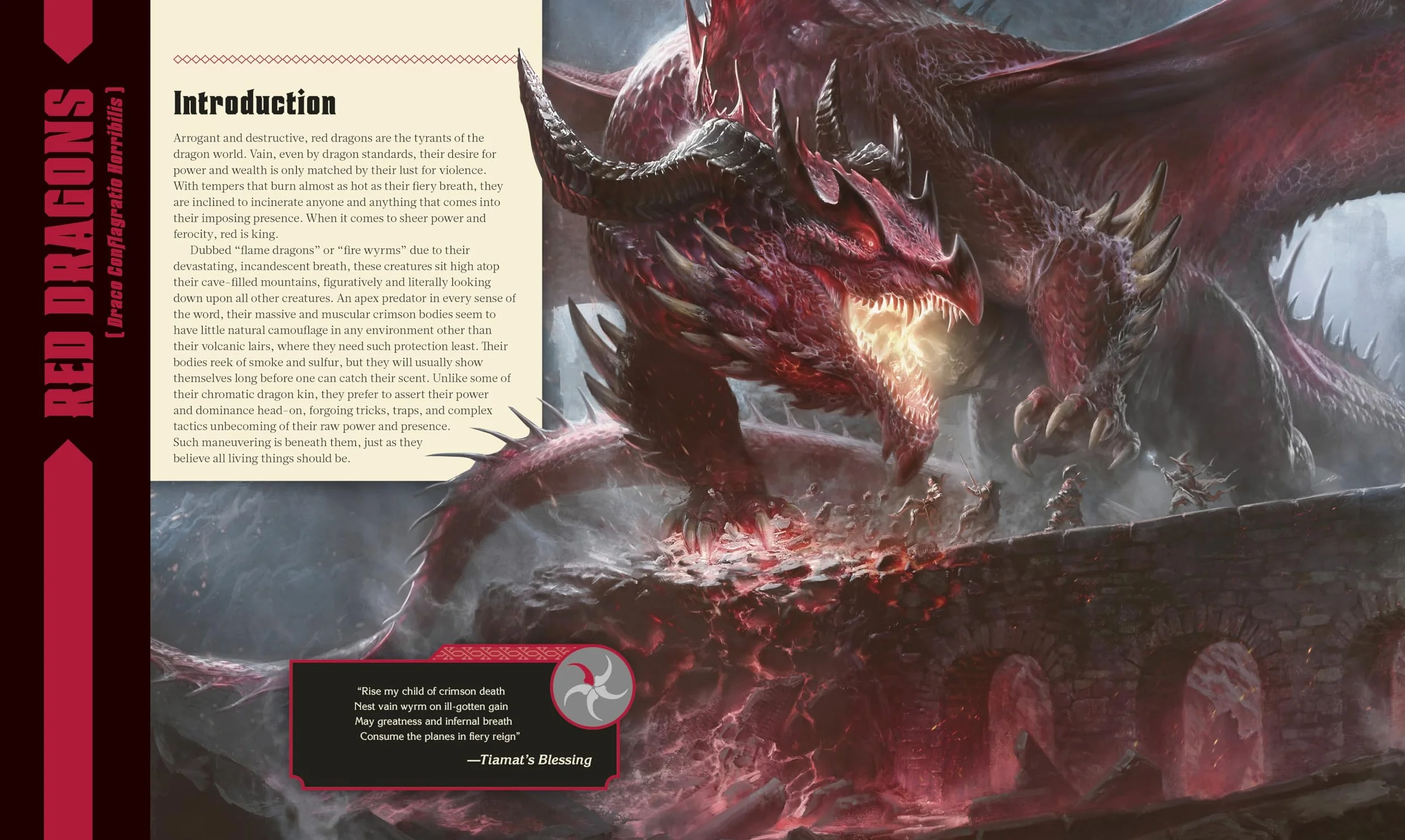 Dungeons & Dragons The Book of Dragons