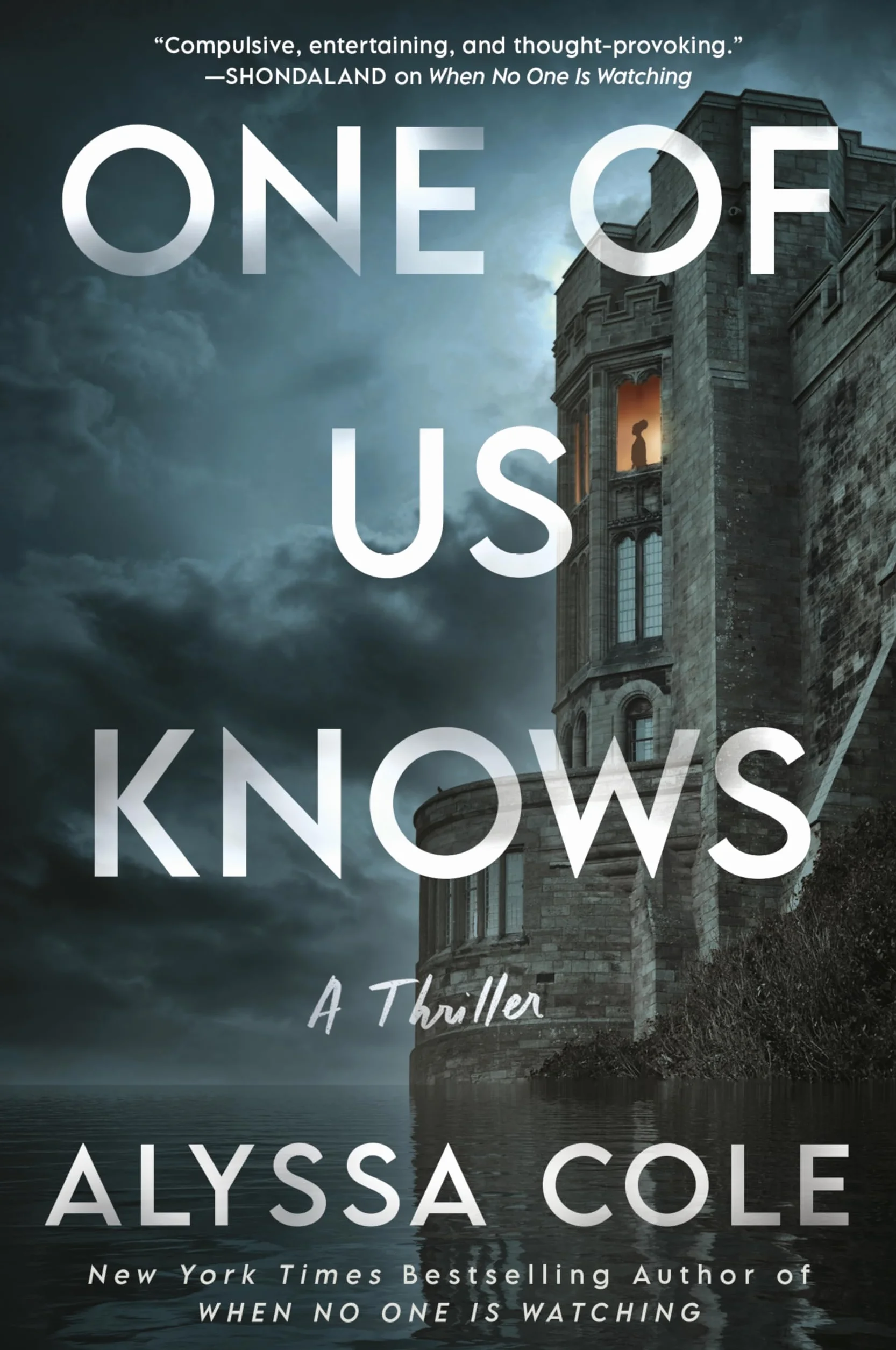One of Us Knows: A Thriller