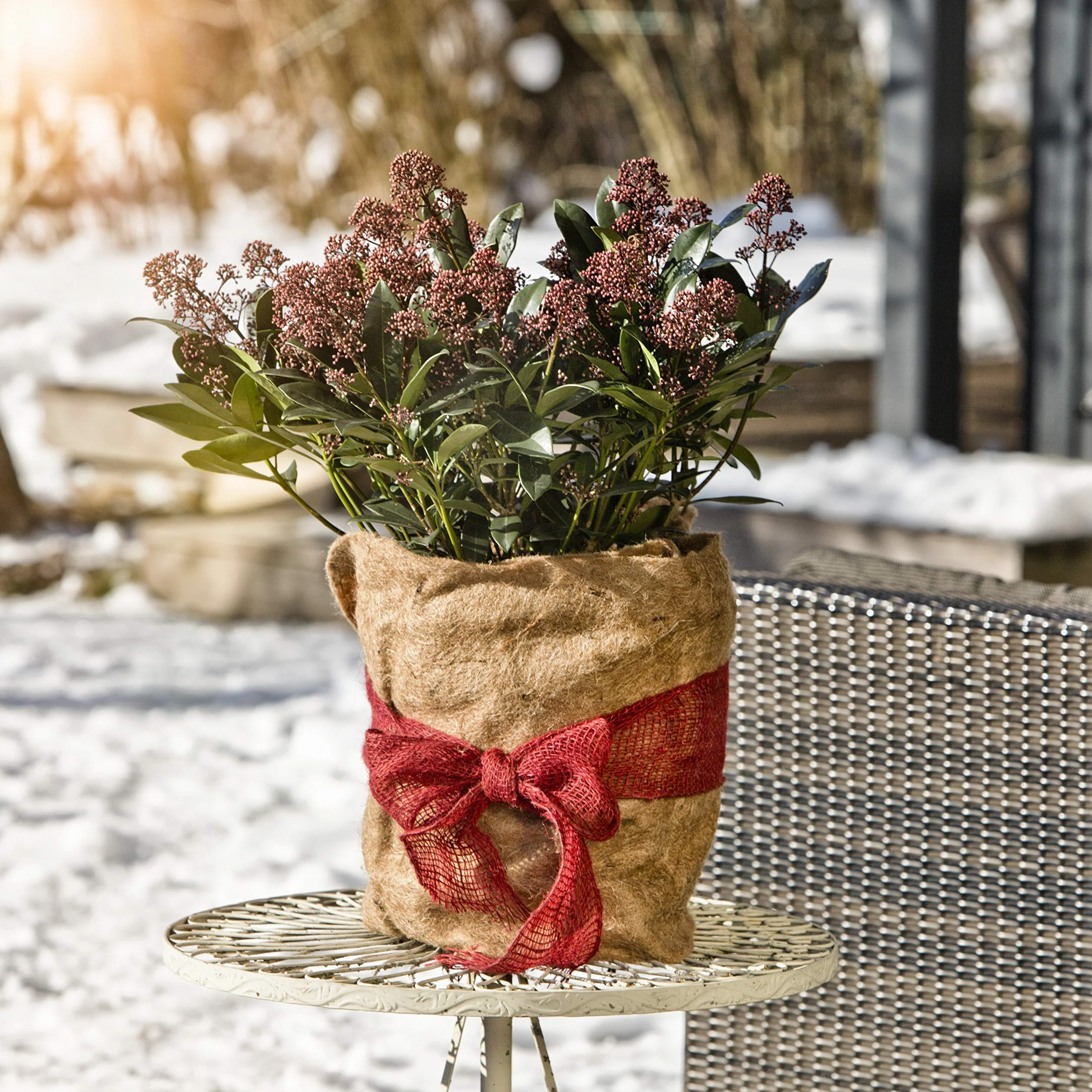 Windhager Juta mata z włókniny ekologicznej, z włókniny, ochrona przed zimnem, ochrona przed mrozem, 300 g/m², 0,5 x 4 m, 07521, kolor naturalny