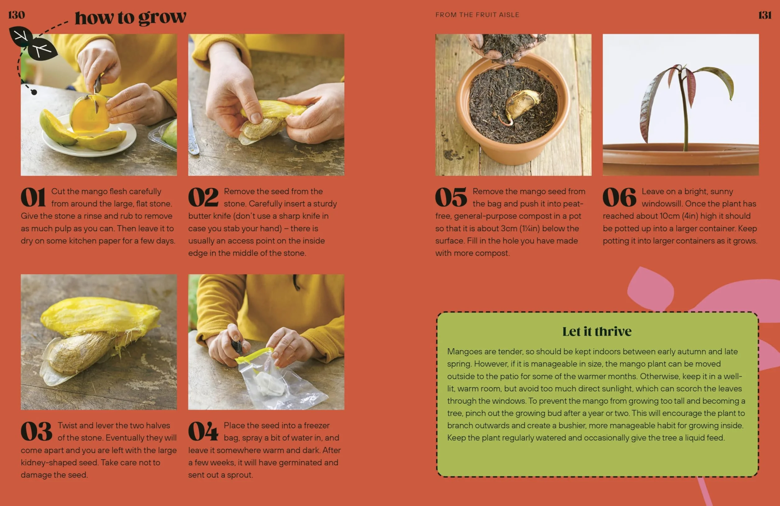 Grow Your Groceries: 40 Hacks for Growing Plants from Your Weekly Shop: A SUNDAY TIMES BESTSELLER
