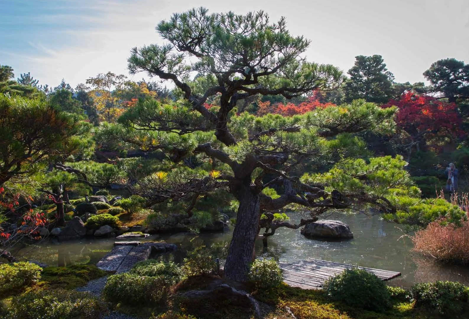 Japanese Gardens: A Journey