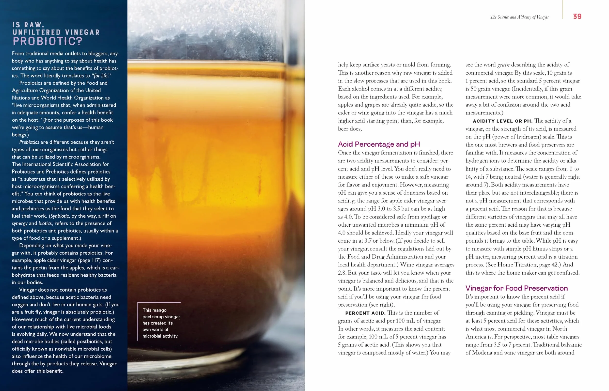 Homebrewed Vinegar: How to Ferment 60 Delicious Varieties, Including Carrot-Ginger, Beet, Brown Banana, Pineapple, Corncob, Honey, and Apple Cider Vinegar
