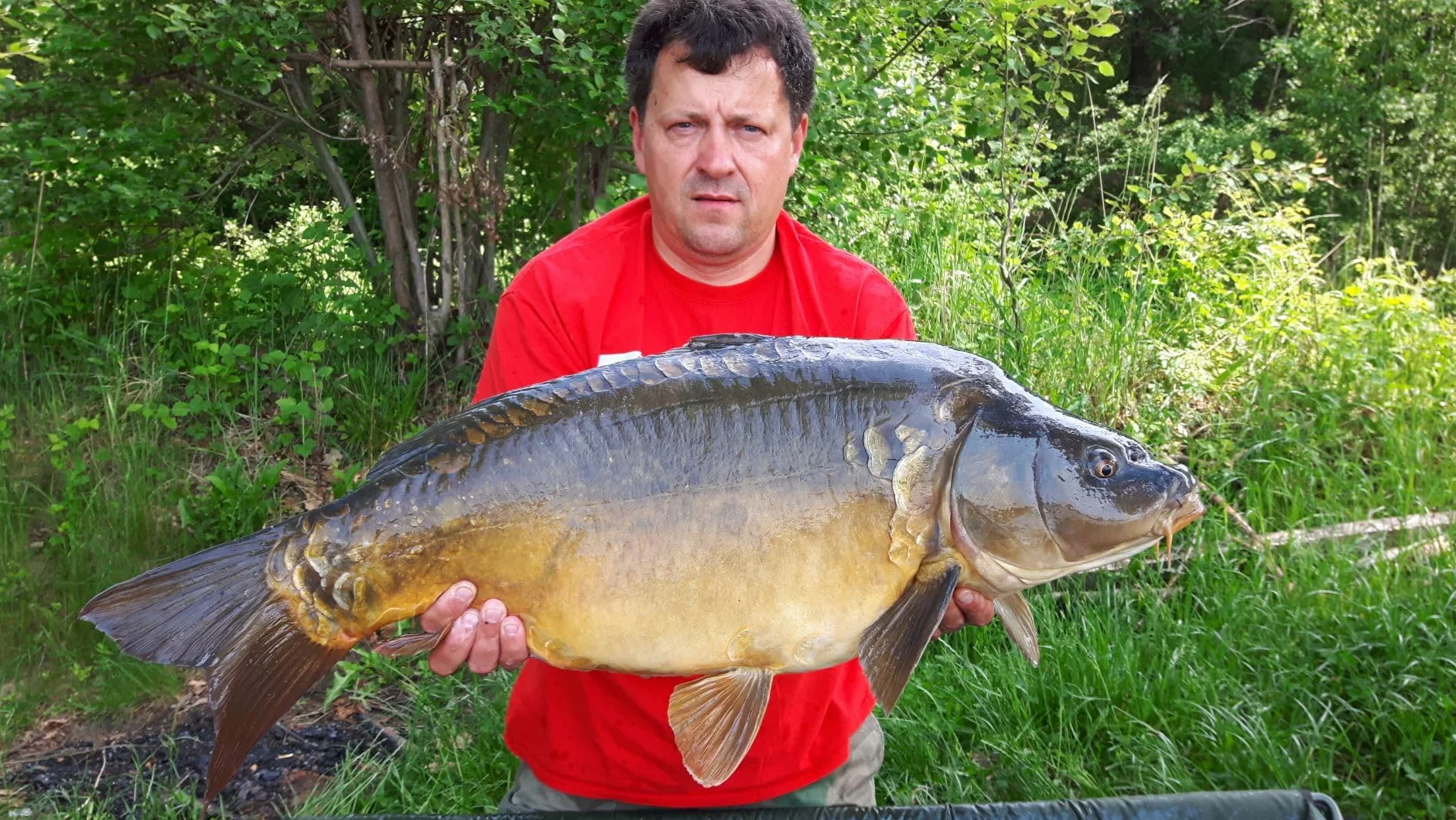 Winner Method Feeder Pellet 2mm 1kg Waniliowy Krem