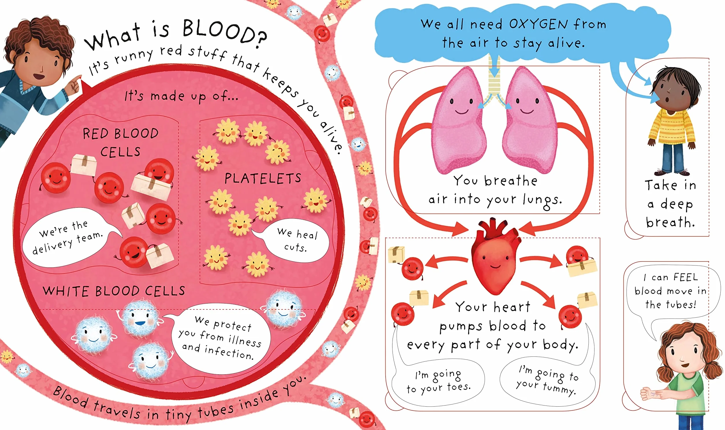 Very First Questions and Answers What's Inside Me?: Lift-the-flap