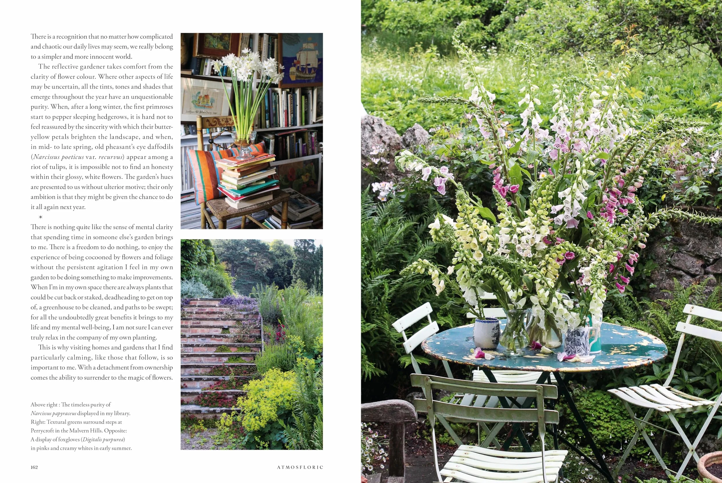 Atmosfloric: Flower colour in home and garden