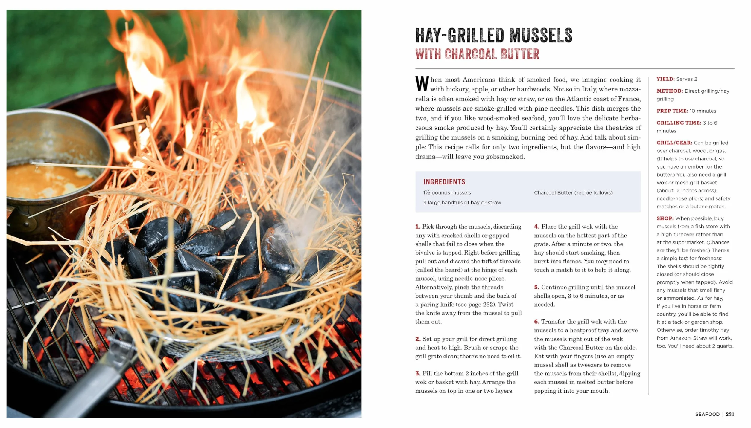 Project Fire: Cutting-Edge Techniques and Sizzling Recipes from the Caveman Porterhouse to Salt Slab Brownie s'Mores