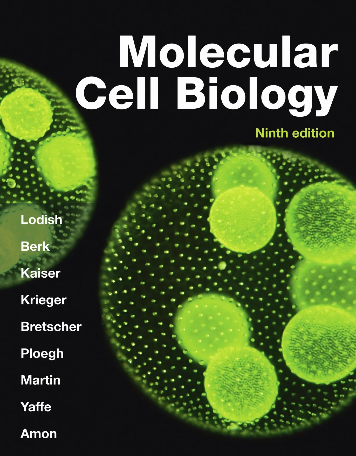 Molecular Cell Biology (International Edition)
